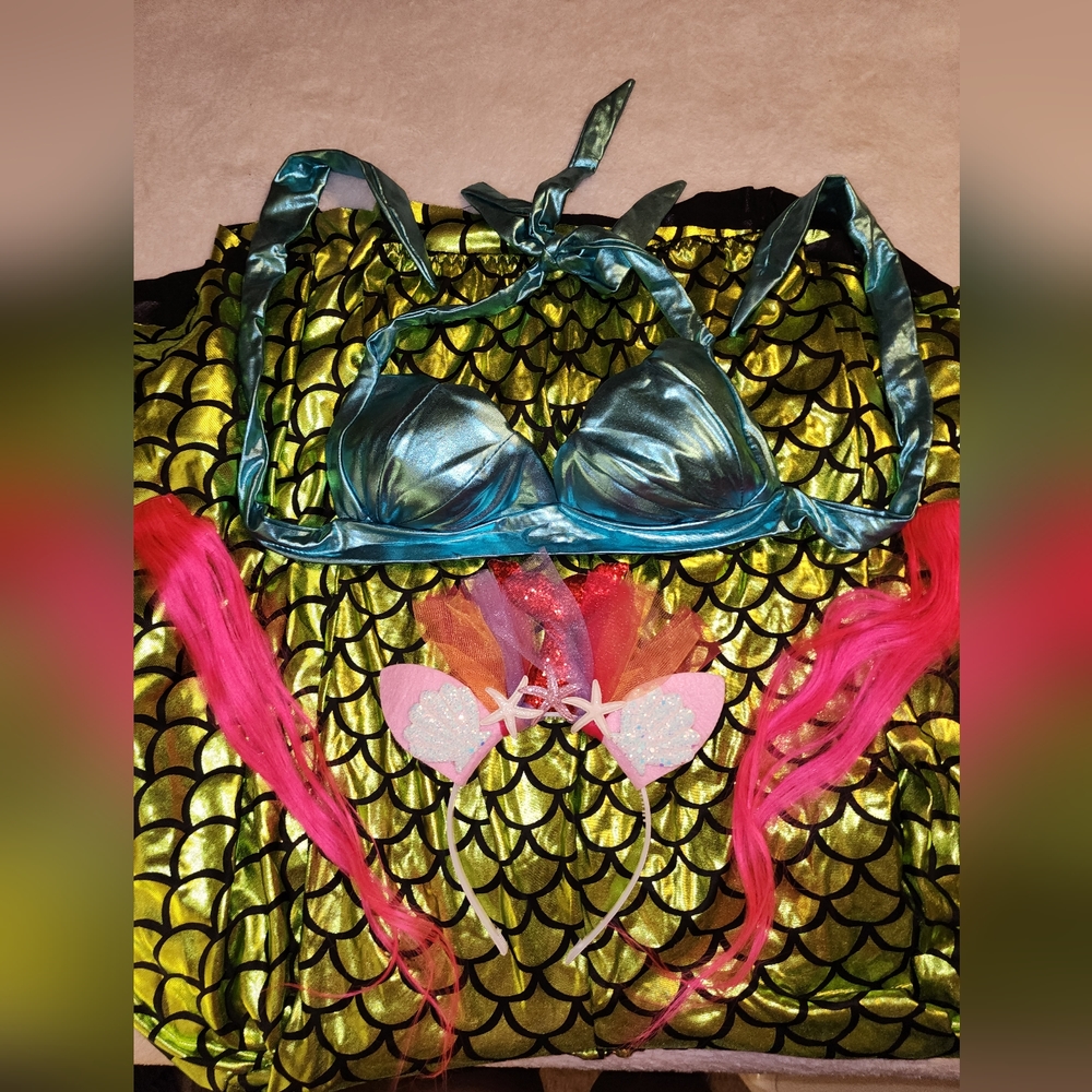 Mermaid Halloween costume worn once the top has never been worn.